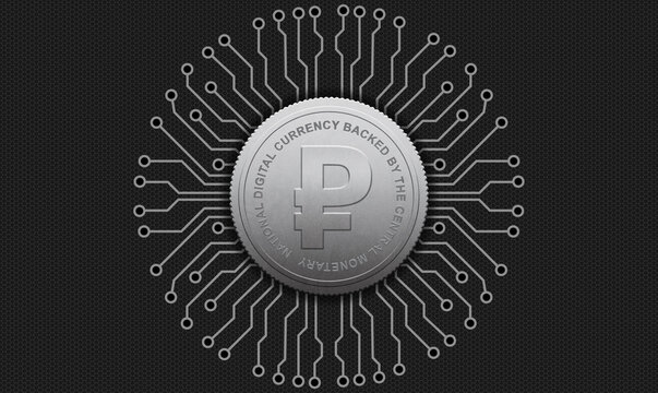 Rublo - Central Bank Digital Currency &ndash; Government-Issued Virtual Money and Financial Regulation