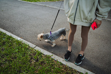 A woman is leisurely walking her small dog, which is on a leash, as they enjoy their time together during a pleasant day outdoors. Its a wonderful moment between pet and owner