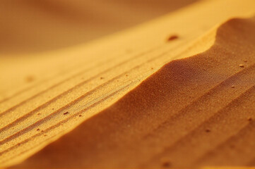 A close-up view of a sandy dune in a desert environment, perfect for use in travel or nature-themed projects