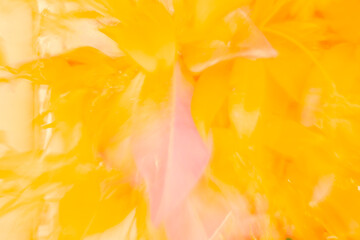 Brilliant bursts of yellow and pink leaves dancing in autumn sunlight