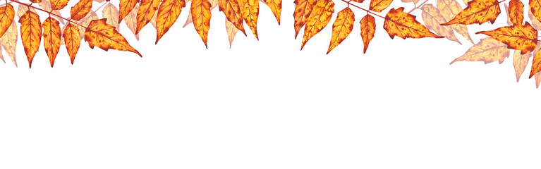  Watercolor autumn leaves border with warm yellow and orange tones. Perfect for seasonal invitations, greeting cards, banners, posters, or Thanksgiving designs.