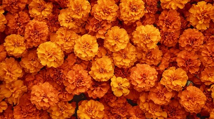 Mexican Day of the Dead altar decorated with vibrant marigolds.