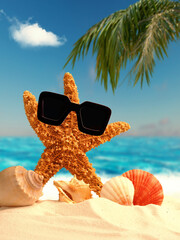 Starfish and shell on sandy beach with blurred background