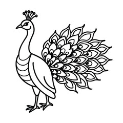 Naklejka premium peacock on white background