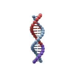 3d DNA isolated on white background