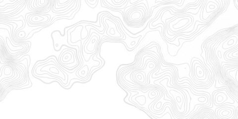 Abstract topography pattern seamless lines sea map modern design white background. Abstract digital topographic contour map concept space geometric strip grid line. Natural discovery of maps.	