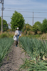 畑作業をする親子