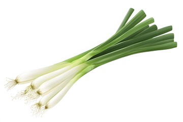 A bunch of scallions with white bulbs and green stalks lying diagonally on a plain white background space