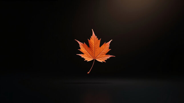Autumn maple leaf floating in a dark space, a symbol of the fall season and the beauty of nature, with its vibrant orange color contrasting against the black background