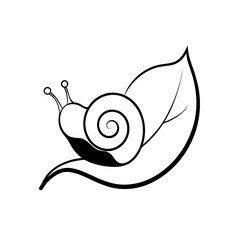 snail on a leaf on white background  
