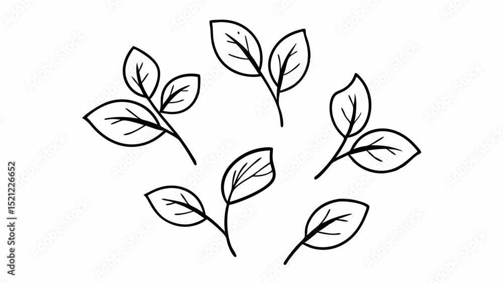 Poster arrangement of six black and white line art leaf sprigs on a white background in a simple style crea