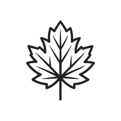 mapple leaf outline vector icon 