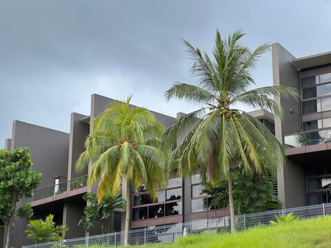 Capella Singapore: Premier Resort on Sentosa Island