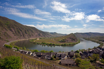 Mosel bow near village of Bremm, vineyards of Calmont hill in foreground