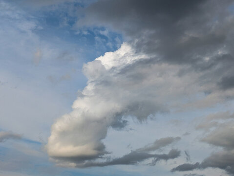 Low-topped cumulus mini-supercell