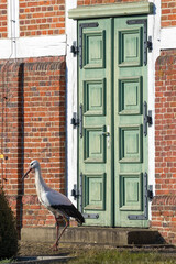 A stork warming in the sun on graveyard in front of weathered church door