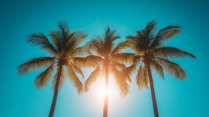 Palm trees silhouetted against a clear blue sky