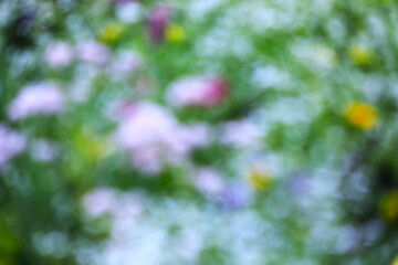 春の花をぼかした背景素材