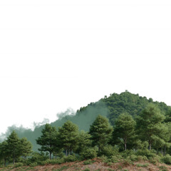 Obraz premium A serene landscape featuring a lush green mountain with dense pine trees, surrounded by soft mist, creating a tranquil atmosphere perfect for nature lovers.
