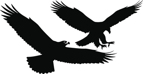 Obraz premium Powerful vector silhouettes of two eagles or large raptors in flight, showcasing majestic soaring and a predatory descent, ideal for nature, wildlife, and strength themes. 