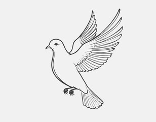 Tranquil Dove Line Sketch, Symbol of Peace and Harmony, Ideal for Inspirational Designs