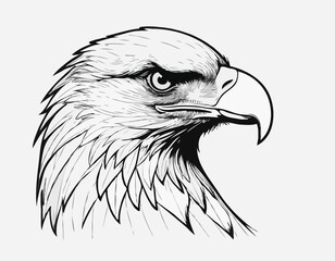 Majestic Eagle Line Art Drawing in Detailed Black and White Sketch