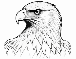 Majestic Eagle Line Art Drawing in Detailed Black and White Sketch