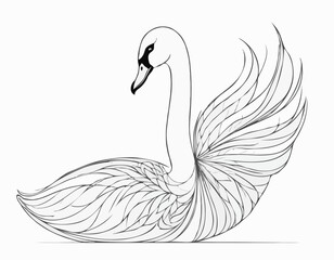 Graceful Swan Line Art Illustration with Intricate Feathers and Elegance
