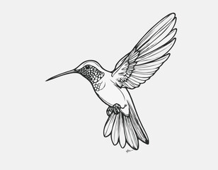 Playful Hummingbird Line Art Sketch Capturing Vibrant Elegance