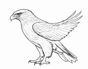 Powerful Hawk Line Art Sketch Embodying Strength and Focus