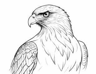 Powerful Hawk Line Art Sketch Embodying Strength and Focus