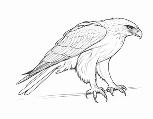 Powerful Hawk Line Art Sketch Embodying Strength and Focus