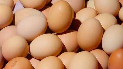 eggs in a box. closeup of raw chicken eggs background