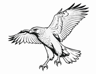 Powerful Hawk Line Art Sketch Embodying Strength and Focus