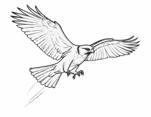 Soaring Falcon Line Art Drawing in Dynamic Flight Pose