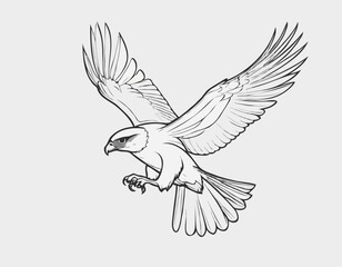 Obraz premium Soaring Falcon Line Art Drawing in Dynamic Flight Pose