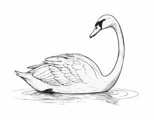 Graceful Swan Line Drawing, Elegant Minimalist Artwork for Nature Enthusiasts