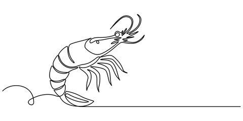 Continuous one single minimal line drawing Shrimp, Shrimp in one line drawing. Sea food illustration, Continuous Line Drawing of Sea Food Icon. Hand Drawn Symbol Vector Illustration, pro concept.