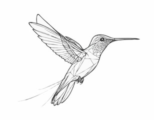 Obraz premium Delicate Hummingbird Line Illustration, Vibrant and Dynamic Nature Sketch