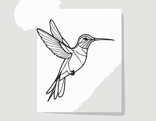 Fototapeta premium Delicate Hummingbird Line Illustration, Vibrant and Dynamic Nature Sketch