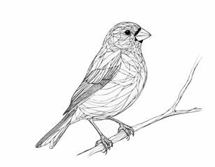 Intricate Finch Bird Line Art, Serene and Delicate Nature Sketch for Wall Art