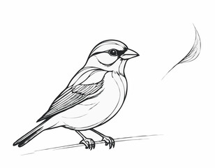 Chirping Sparrow Line Illustration, Whimsical and Playful Bird Artwork