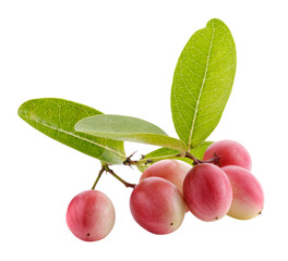 Pile of Karonda Fruit, Carissa carandas L. Karanda; Carunda isolated on a transparent background