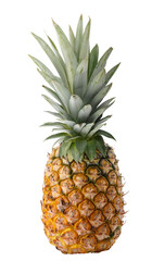 pineapple isolated on a transparent background