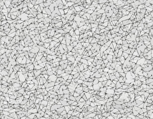 Dynamic Black and White Line Art Forming Intricate Geometric Patterns