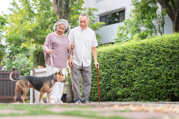 Elderly Asian Couple Walking Dog Outdoors with Cane, Senior Man and Woman Enjoying a Stroll with Their Pet, Active Seniors and Their Dog in a Green Garden Setting