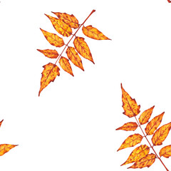  Seamless watercolor pattern of orange and yellow autumn leaves. Perfect for seasonal wrapping paper, textile prints, stationery, or fall-themed backgrounds.
