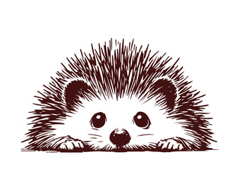 Hedgehog hand drawn sketch vector illustration