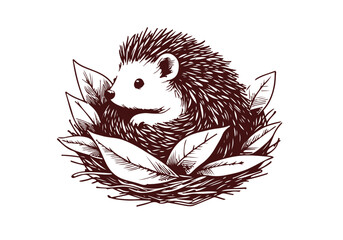 Hedgehog hand drawn sketch vector illustration