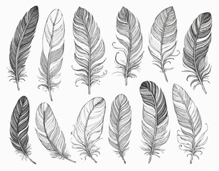 Hand-Drawn Boho Feather Borders Set for Nature-Inspired Artistic Creations